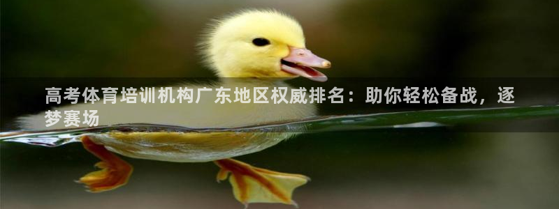 焦点娱乐如何注册账号和密码登录：高考体育培训机构广东