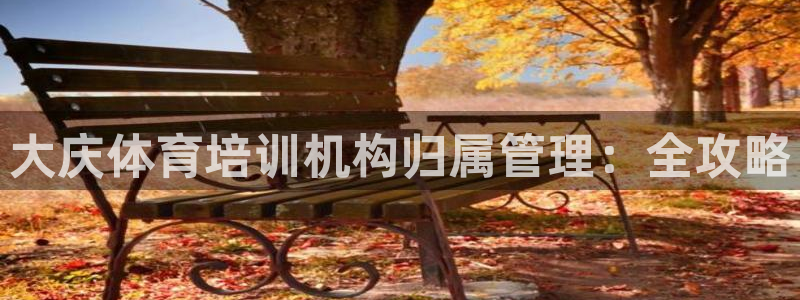 焦点娱乐拉菲10：大庆体育培训机构归属管理：全攻略