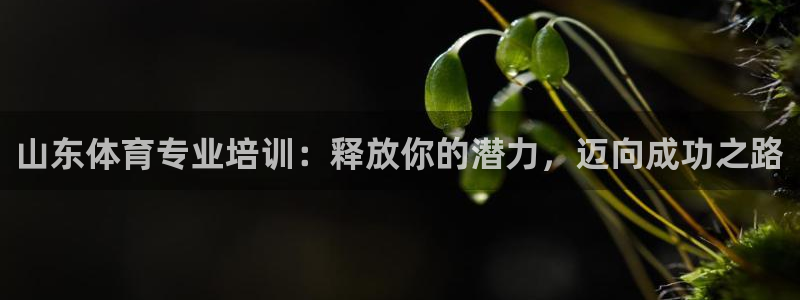 焦点娱乐财神