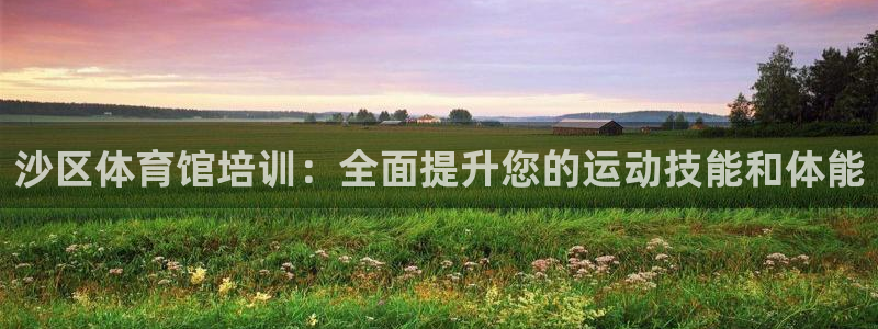 焦点娱乐总代理是谁：沙区体育馆培训：全面提升您的运动