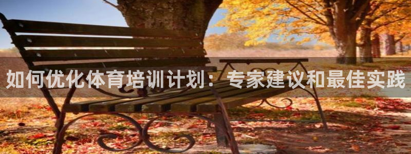 焦点娱乐app下载苹果版官网：如何优化体育培训计划：