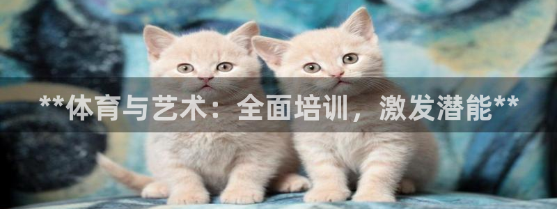 焦点娱乐平台续7O777：**体育与艺术：全面培训，