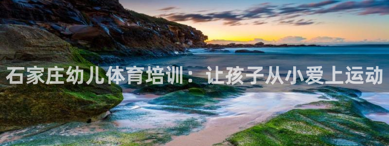 焦点娱乐总代理是谁：石家庄幼儿体育培训：让孩子从小爱