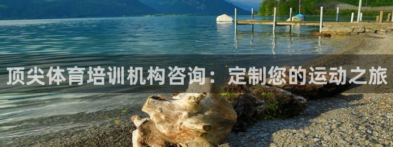 焦点娱乐直属：顶尖体育培训机构咨询：定制您的运动之旅