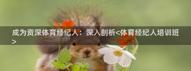 焦点娱乐传媒有限公司怎么样啊：成为资深体育经纪人：深