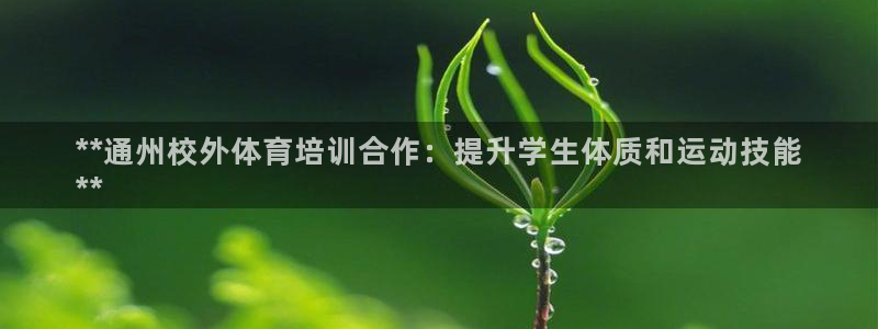 焦点娱乐官方网站入口在线观看视频：**通州校外体育培