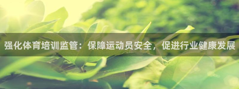 焦点娱乐官方网站下载安装：强化体育培训监管：保障运动
