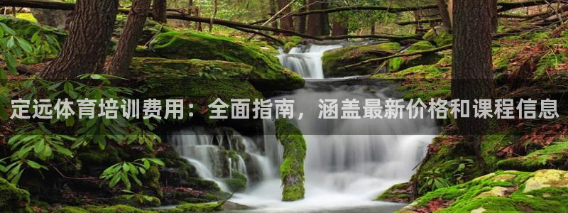 焦点娱乐平台注册账号安全吗：定远体育培训费用：全面指