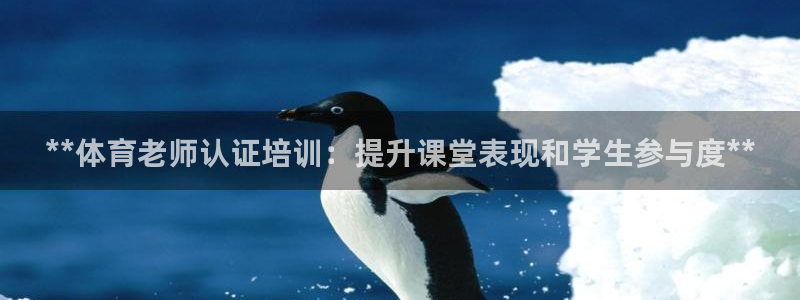 焦点娱乐公司是干嘛的：**体育老师认证培训：提升课堂