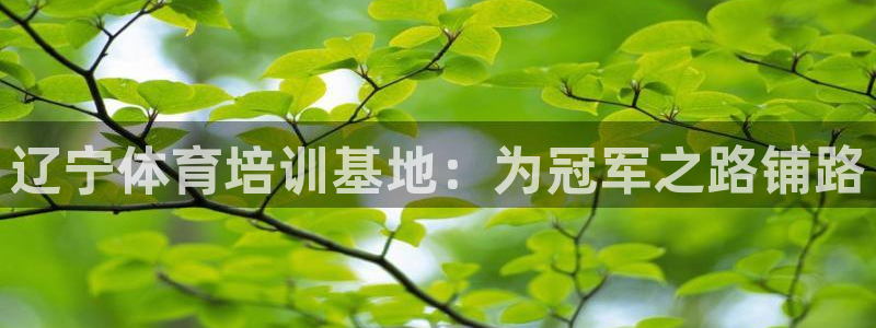 焦点娱乐官方网站入口在线观看视频：辽宁体育培训基地：