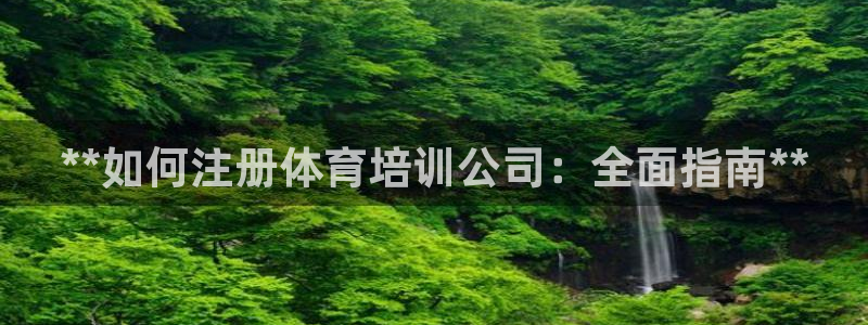 焦点娱乐星：**如何注册体育培训公司：全面指南**