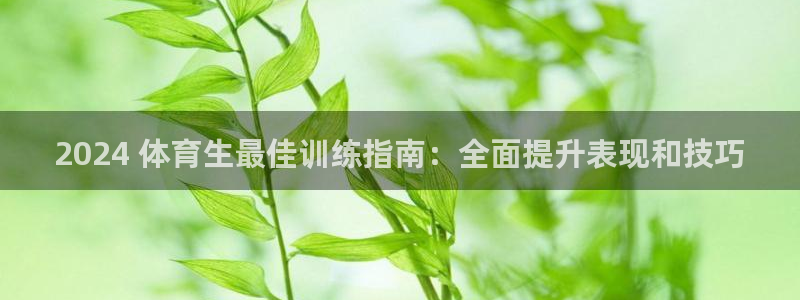 焦点娱乐总代理是谁：2024 体育生最佳训练指南：全