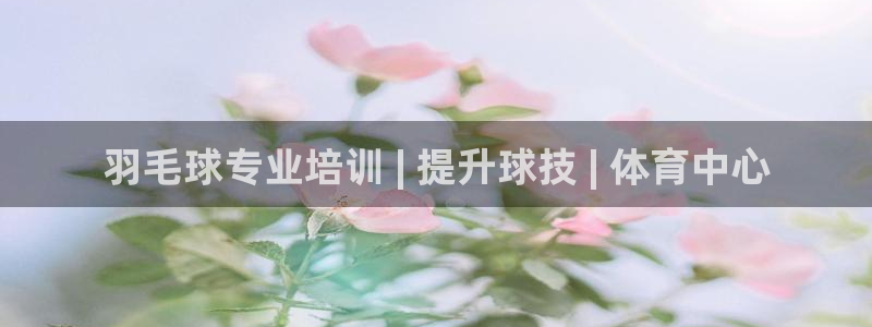 焦点娱乐无法提现怎么回事：羽毛球专业培训 | 提升球