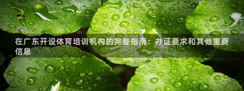 焦点娱乐说说怎么写：在广东开设体育培训机构的完整指南