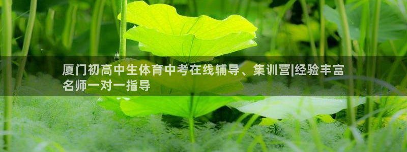焦点娱乐官方网站下载手机版安装：厦门初高中生体育中考