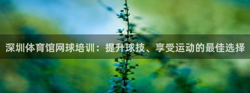 焦点娱乐官方网站首页入口在线观看：深圳体育馆网球培训