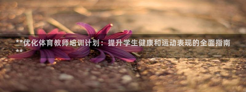 焦点娱乐门徒娱乐骗局视频：**优化体育教师培训计划：