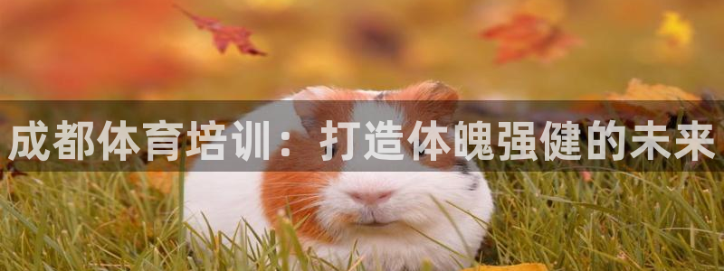 焦点娱乐官网下载：成都体育培训：打造体魄强健的未来