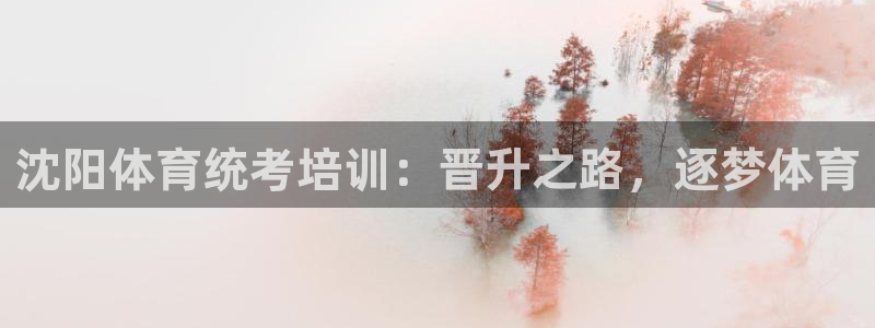 焦点娱乐公司是干嘛的：沈阳体育统考培训：晋升之路，逐