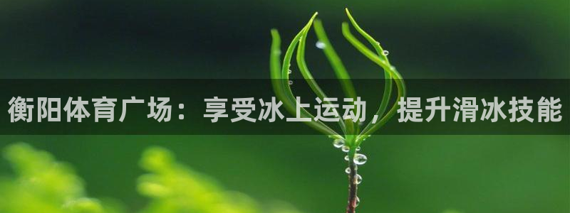 焦点娱乐平台总代理开户怎么样：衡阳体育广场：享受冰上