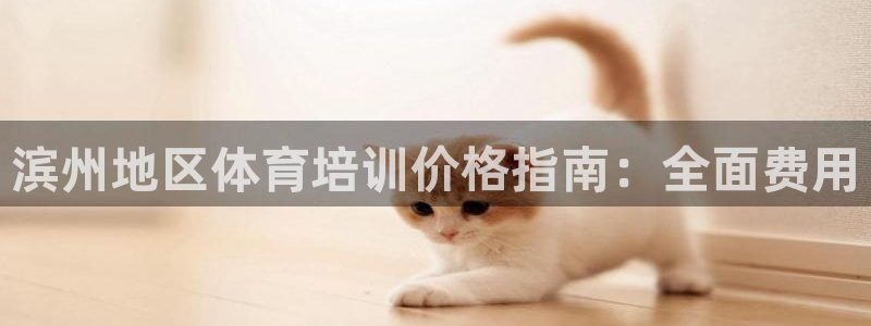 焦点娱乐总代理：滨州地区体育培训价格指南：全面费用