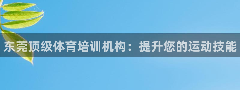 焦点娱乐公司简介怎么写：东莞顶级体育培训机构：提升您