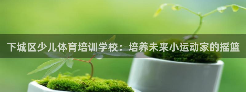 焦点娱乐官网下载安装苹果版：下城区少儿体育培训学校：