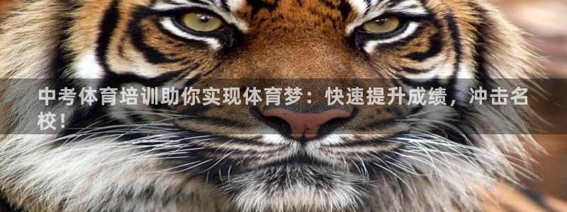焦点娱乐平台是正规的吗安全吗：中考体育培训助你实现体育梦：快