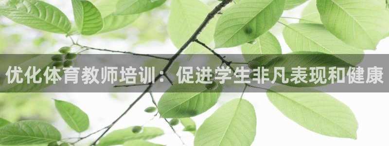 焦点娱乐软件版本区别：优化体育教师培训：促进学生非凡