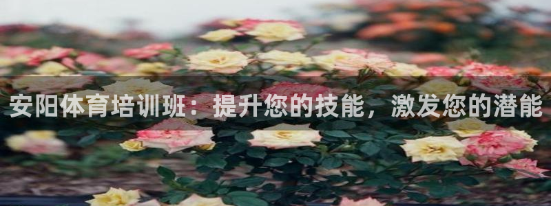 焦点娱乐挂机版下载：安阳体育培训班：提升您的技能，激
