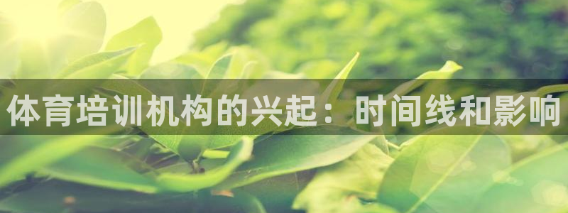 焦点娱乐无法提现怎么办：体育培训机构的兴起：时间线和影响