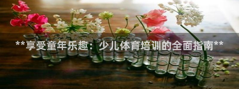 焦点娱乐平台最高待遇：**享受童年乐趣：少儿体育培训