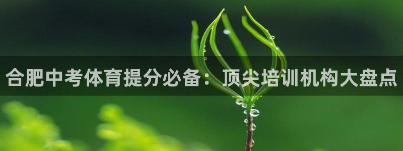 焦点娱乐官网下载安装最新版手机：合肥中考体育提分必备