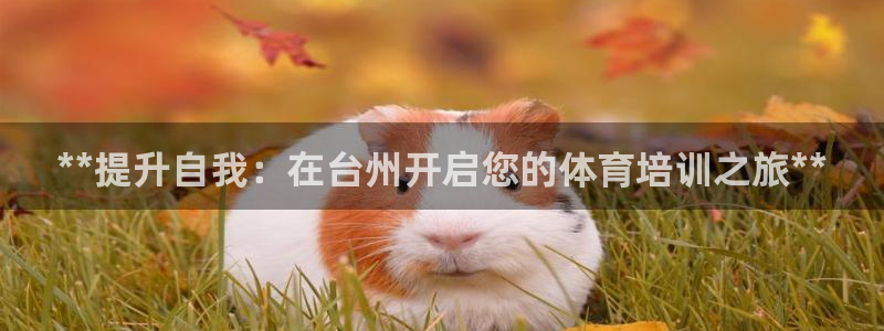 焦点娱乐是黑平台吗是真的吗