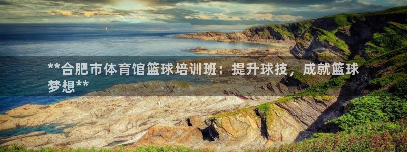 焦点娱乐传媒有限公司官网首页：**合肥市体育馆篮球培