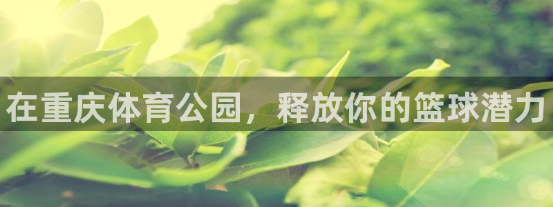 焦点娱乐如何注册账号登录：在重庆体育公园，释放你的篮