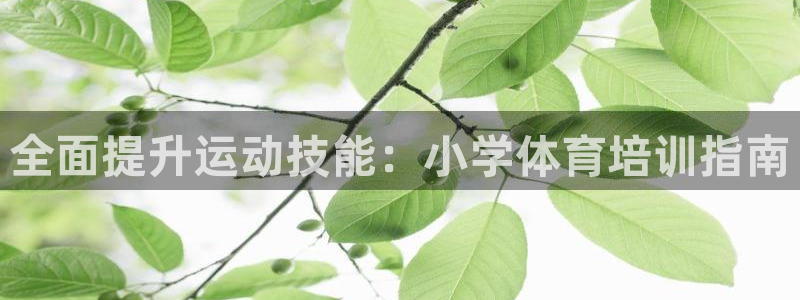 焦点娱乐官方网站下载手机版苹果