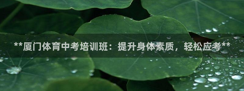 焦点娱乐拉菲11月12日