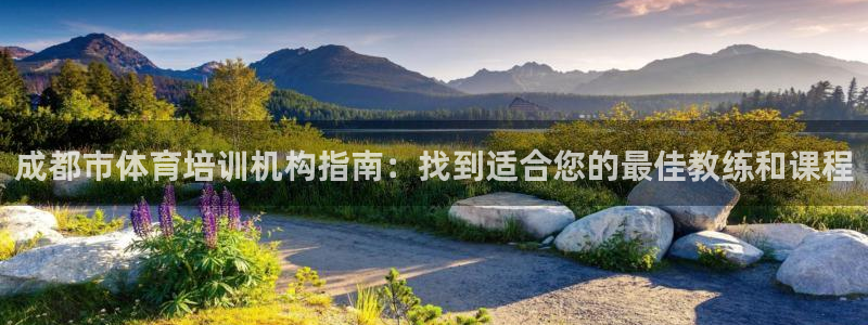 焦点娱乐皮皮虾视频：成都市体育培训机构指南：找到适合