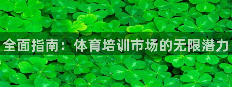 焦点娱乐传媒有限公司官网：全面指南：体育培训市场的无