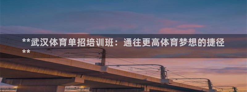 焦点娱乐星：**武汉体育单招培训班：通往更高体育梦想的捷径
