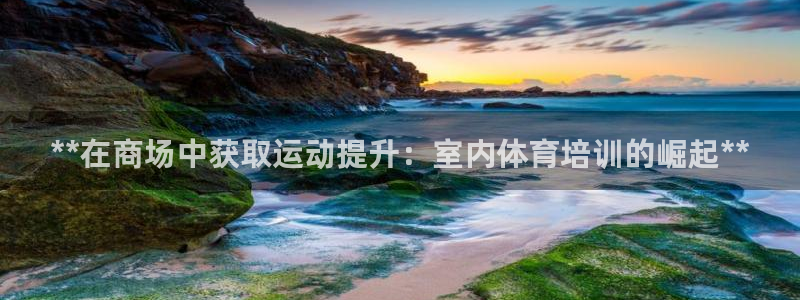 焦点娱乐公司的发展历程：**在商场中获取运动提升：室内体育培