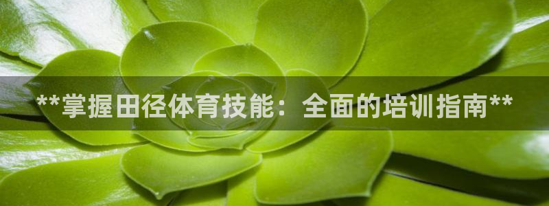 焦点娱乐平台客服电话号码：**掌握田径体育技能：全面的培训指