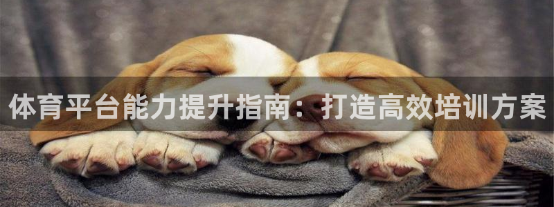 焦点娱乐平台是正规的吗安全吗可靠吗：体育平台能力提升指南：打