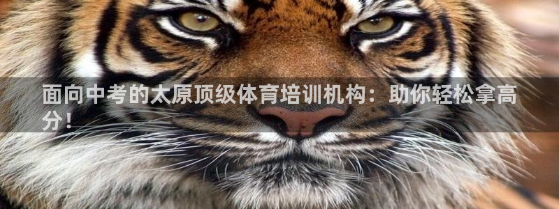 焦点娱乐平台讲7O777