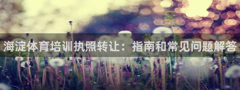 焦点娱乐app下载安装