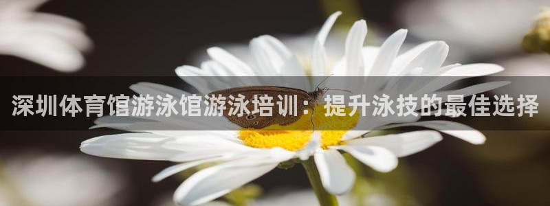 焦点娱乐拉菲