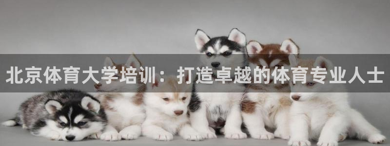 焦点娱乐怎么找不到了：北京体育大学培训：打造卓越的体