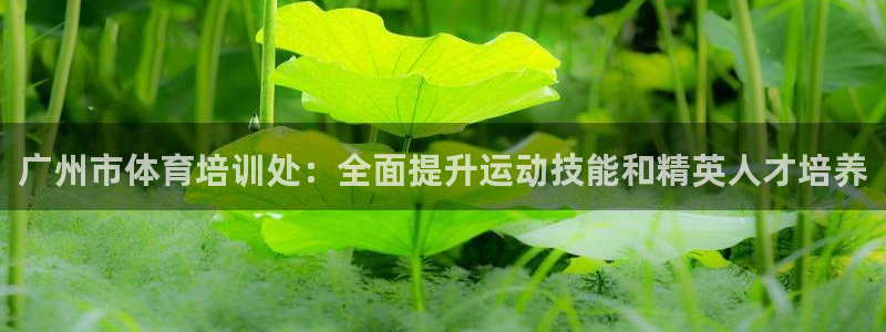焦点娱乐力 411o31 焦点：广州市体育培训处：全
