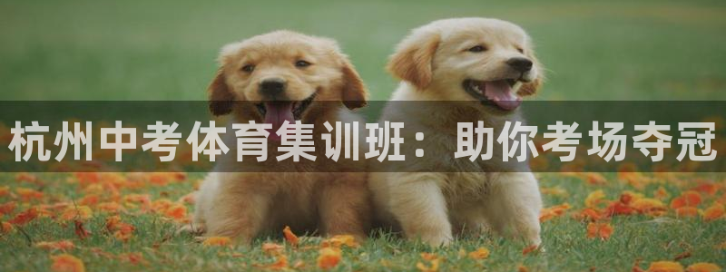 焦点娱乐股东